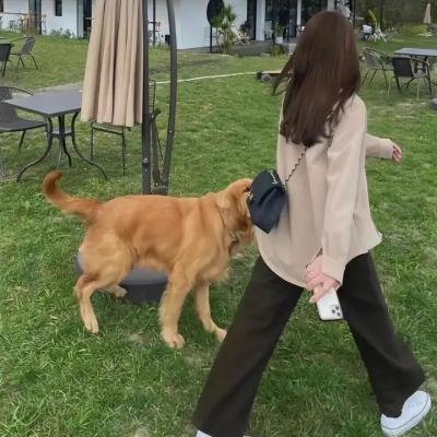 极品牛排解码之旅