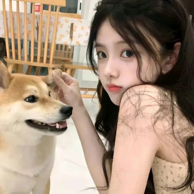 特洛伊奥德赛
