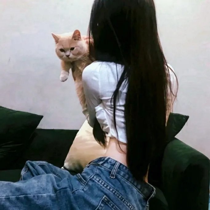 西西里著名的熊入侵事件